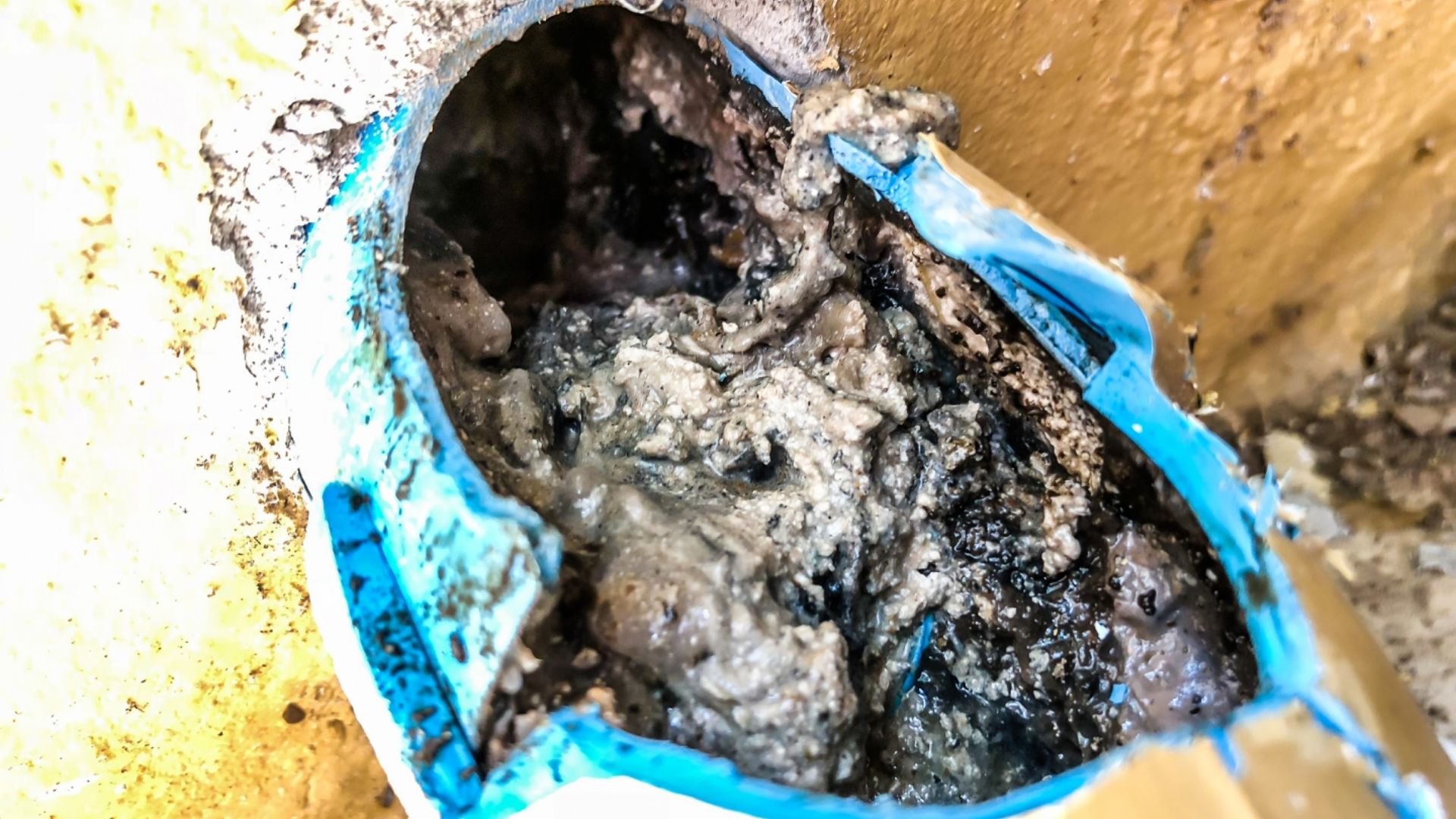 1549875605_antiskalantlar