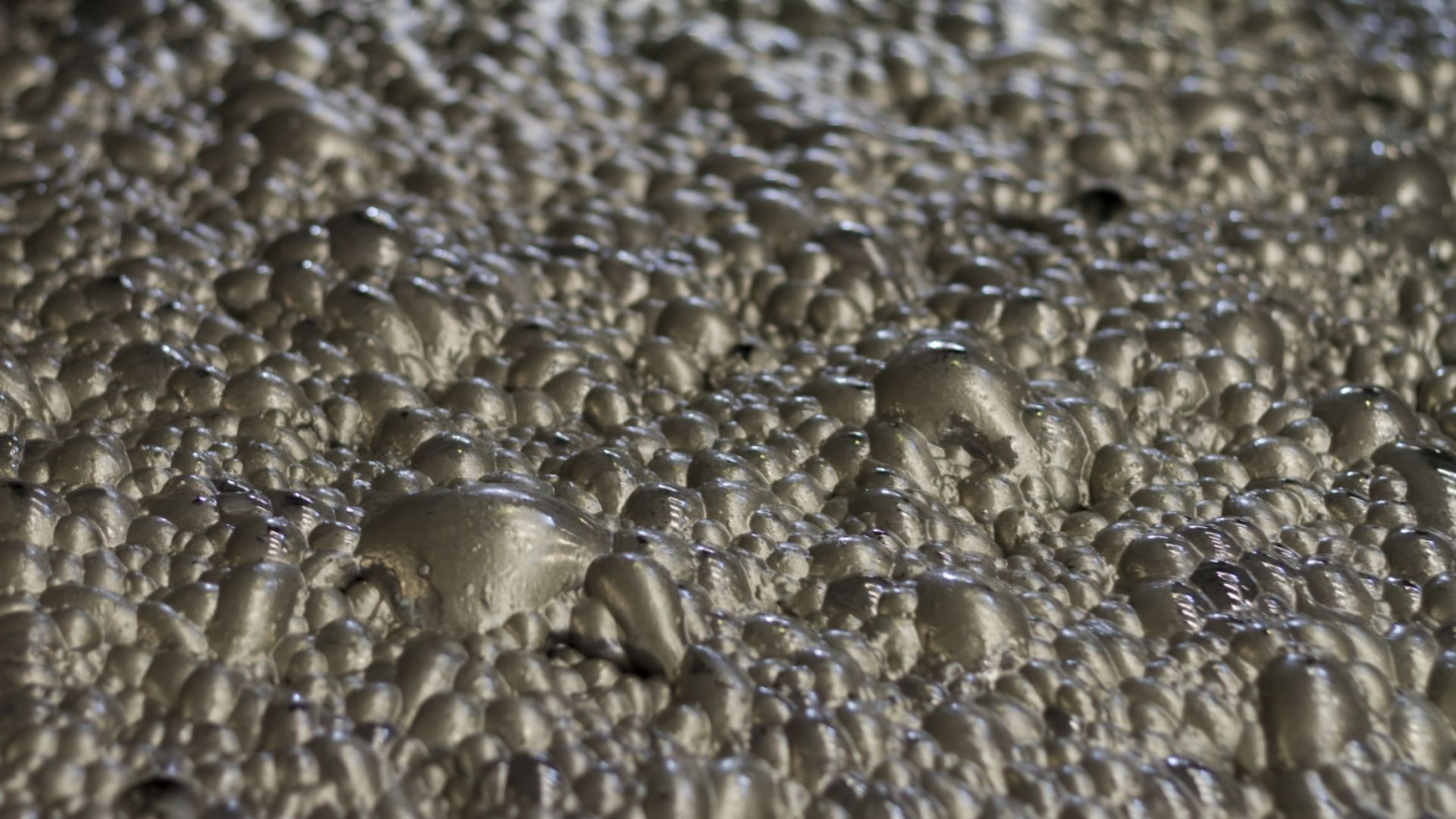 1549875629_bastiricilar2