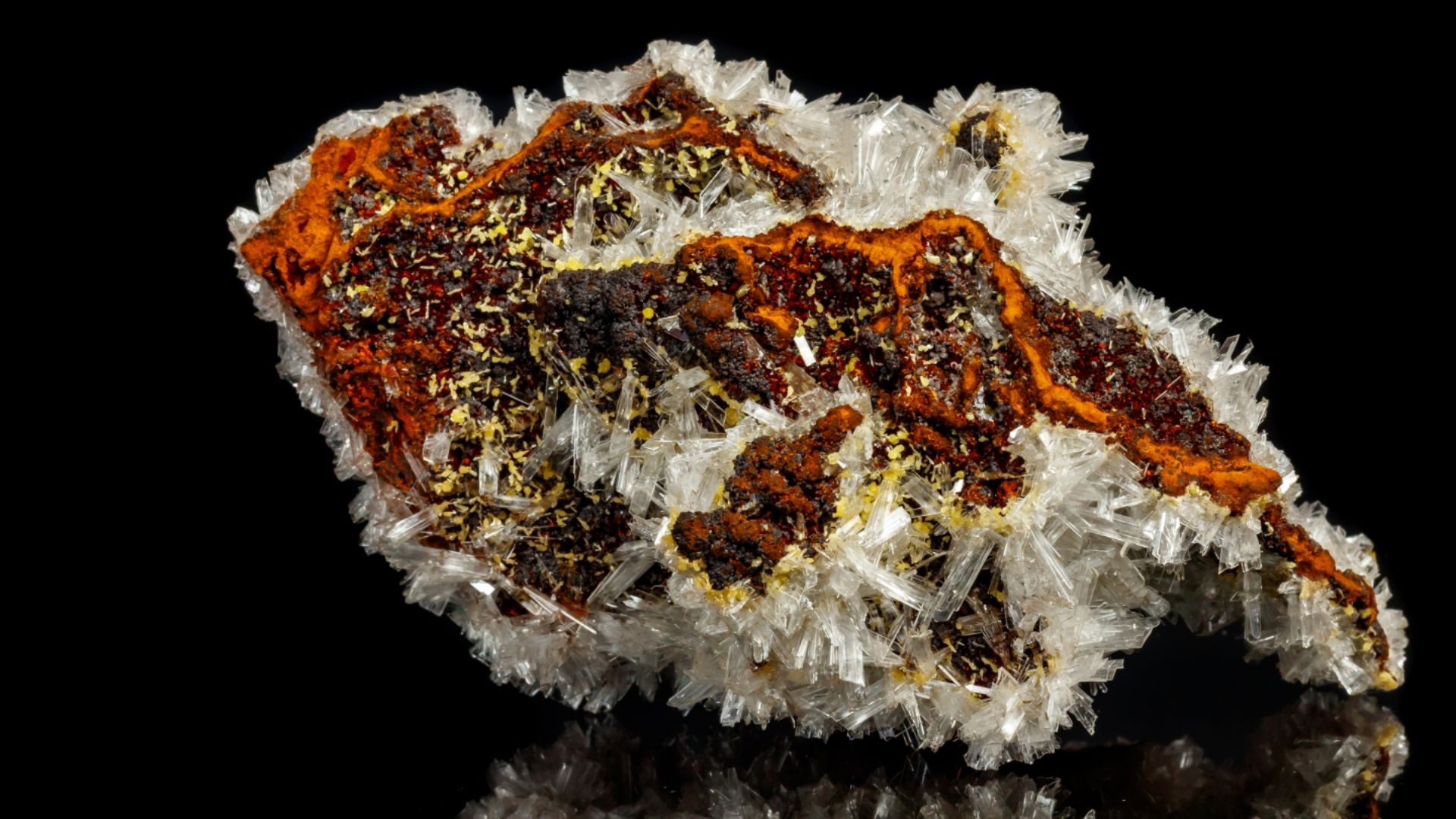 1549875635_bastiricilar-3