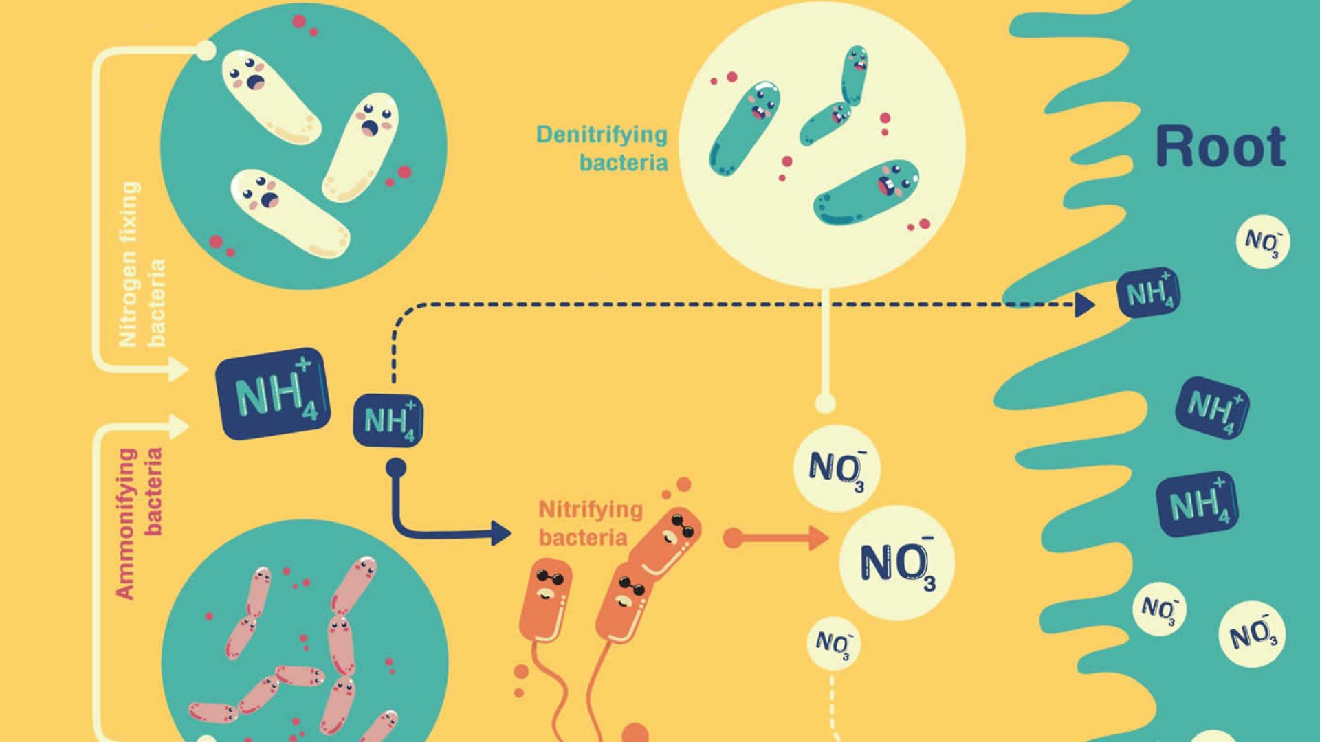 1549875719_azot-giderici-3