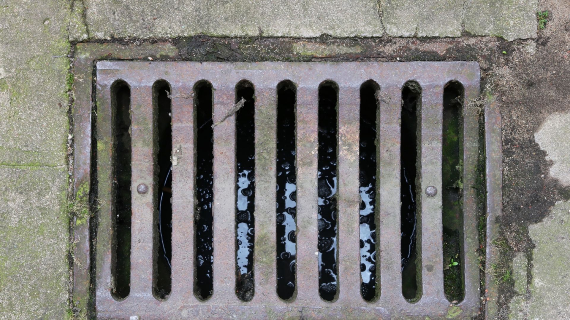 1549875769_koku-giderici-3