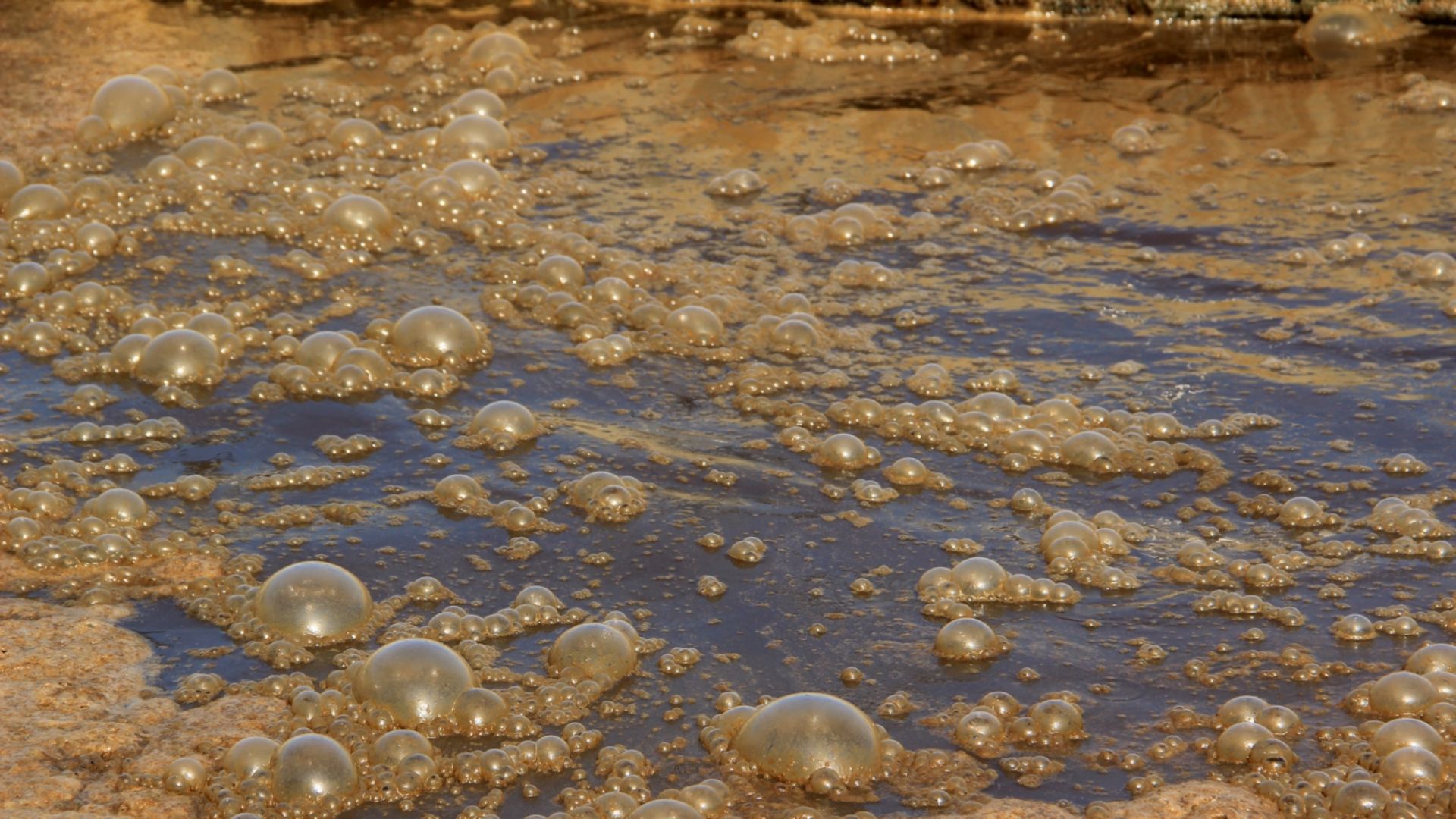 1549875781_koku-giderici-1